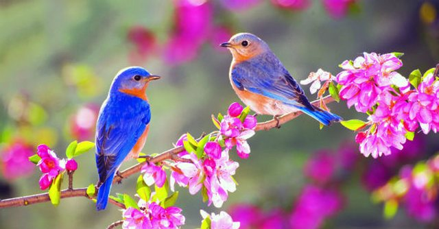 Sot Dita e Verës/ Ballokume, verore dhe festime në çdo qytet të Shqipërisë