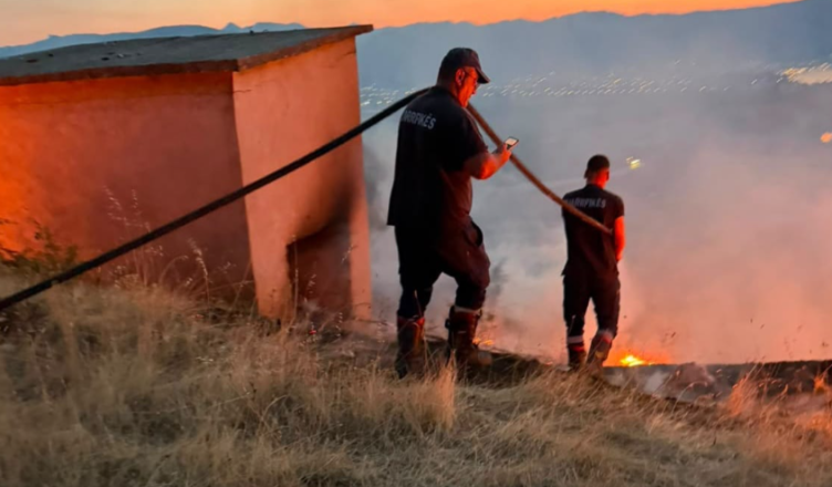 Zjarr në kodrat e Tushemishtit