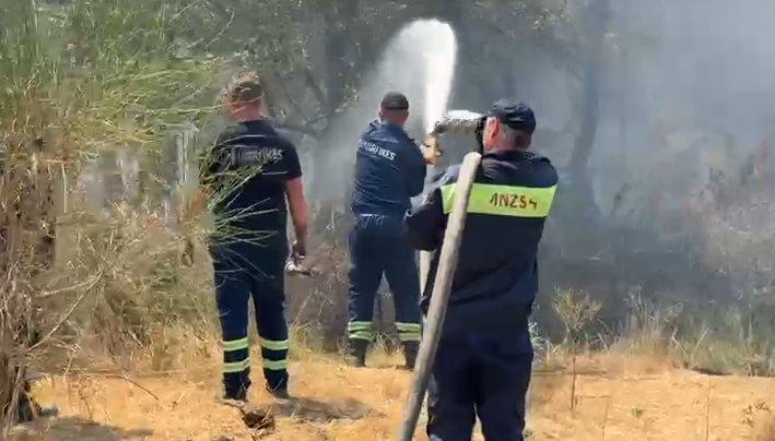 Flakët përfshijnë ullishtet në Peqin, digjen mbi 2 hektarë, dyshohet për zjarrvënie të qëllimshme