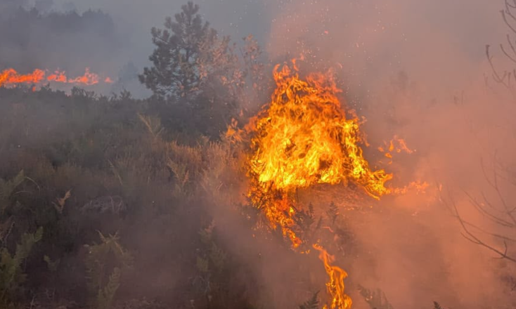 Zjarret në Tërbun dhe Gjegjan, Bashkia Pukë kërkon ndërhyrje nga ajri