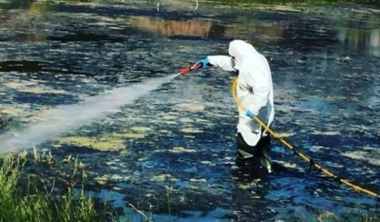 Virusi i Nilit në Greqi, 58 raste të reja dhe 24 viktima